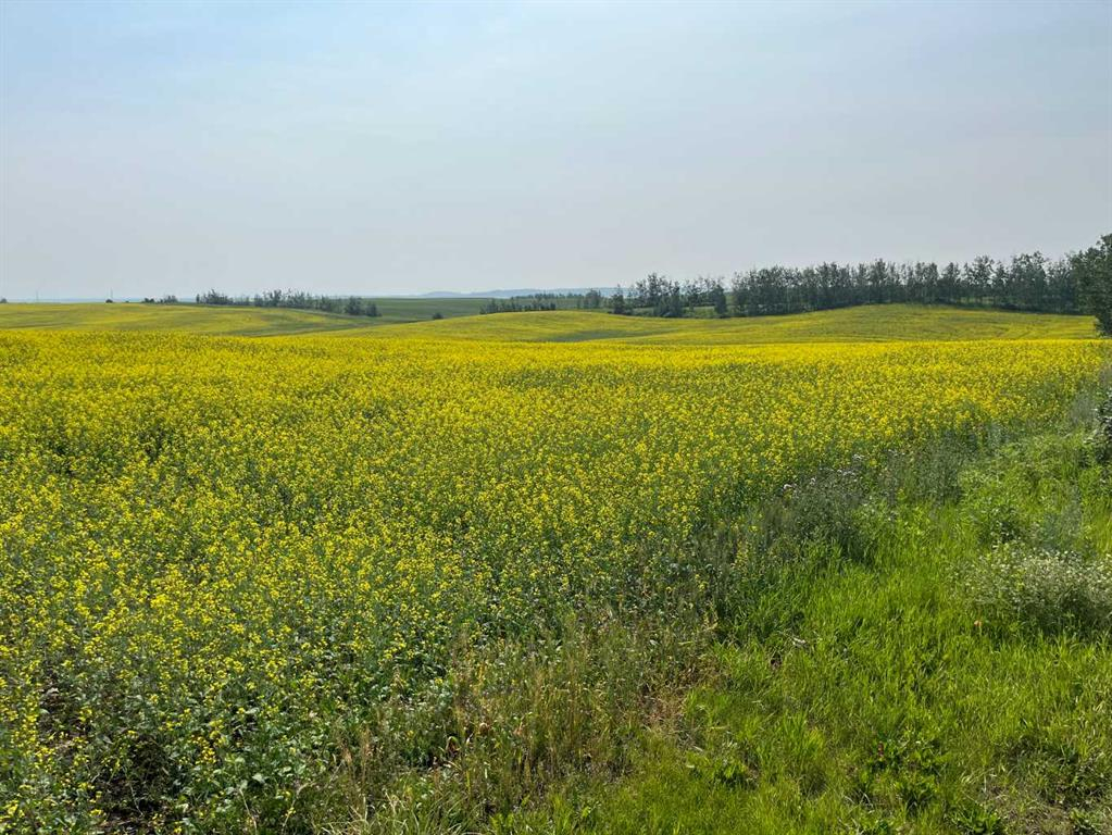Range Road 263, Rural Red Deer County, Alberta, T4E 0Y8 (114439461)