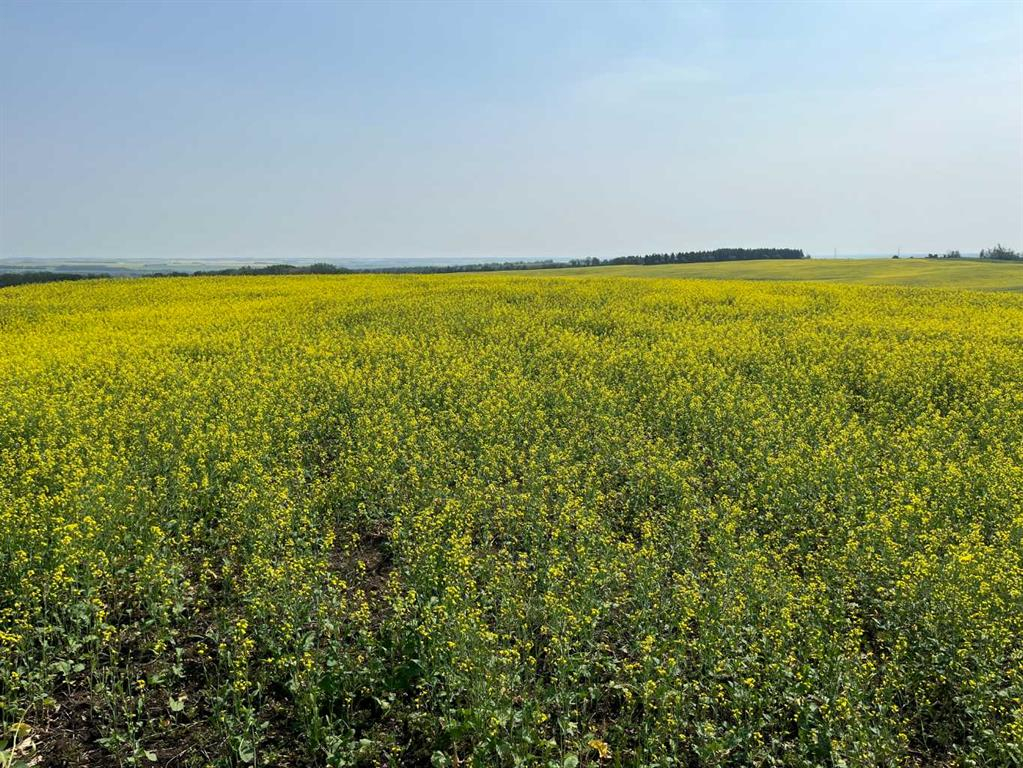 Range Road 263, Rural Red Deer County, Alberta, T4E 0Y8 (114439461)