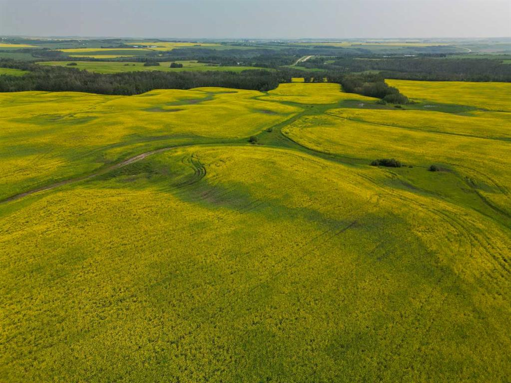 Range Road 263, Rural Red Deer County, Alberta, T4E 0Y8 (114439461)