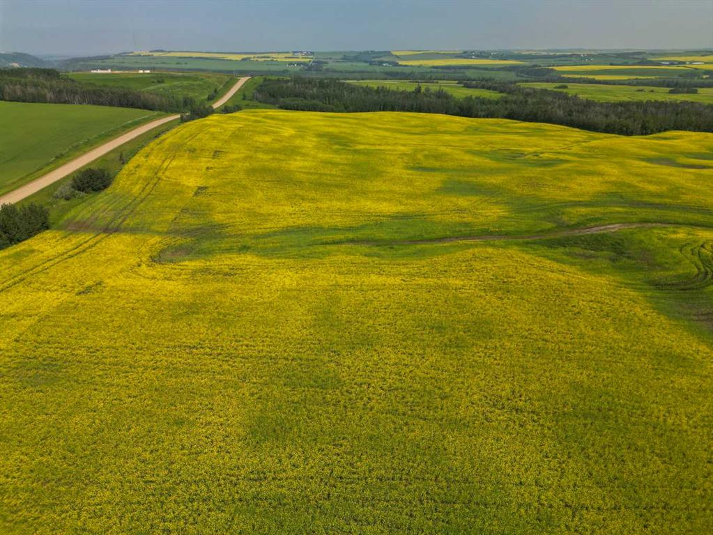 Range Road 263, Rural Red Deer County, Alberta, T4E 0Y8 (114439461)