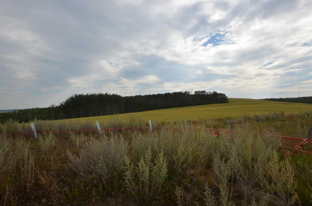 38250 Range Road 263, Rural Red Deer County, Alberta, T4E 3A2 (114935614)