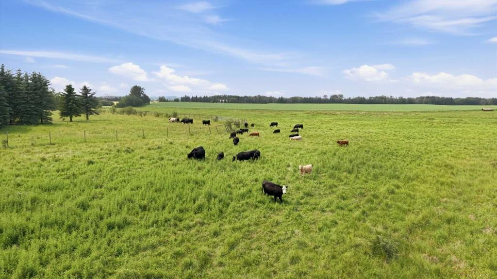 On Township Road 374, Rural Red Deer County, Alberta, T4E 2C7 (114964081)