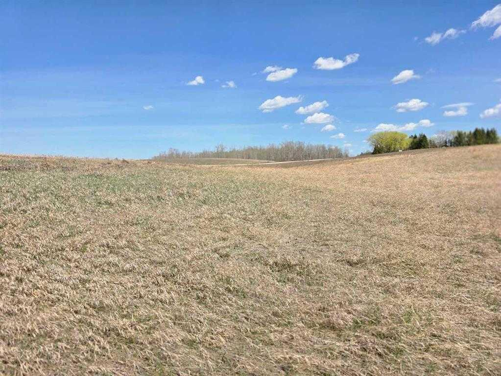 #7 C&E Trail North of Blackfalds, Rural Lacombe County, Alberta, T0M 0J0 (115030722)