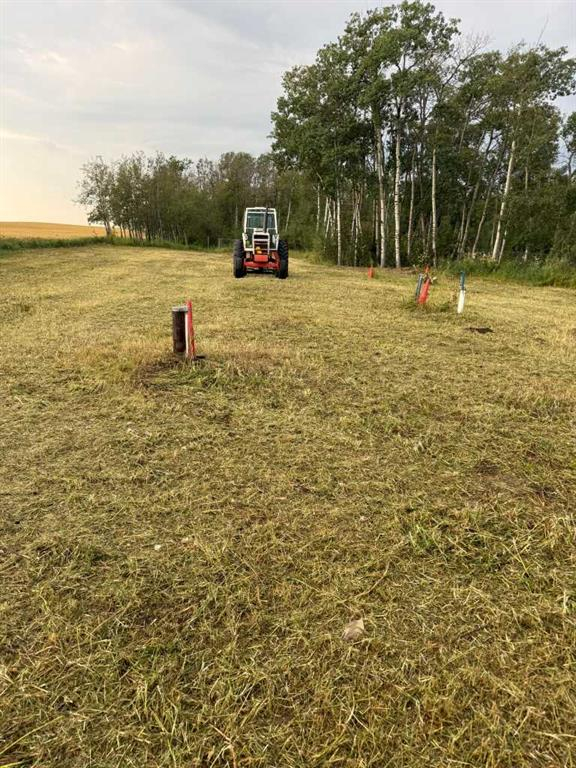 1019 Township Road 391, Rural Red Deer County, Alberta, T4P 0E8 (115226837)