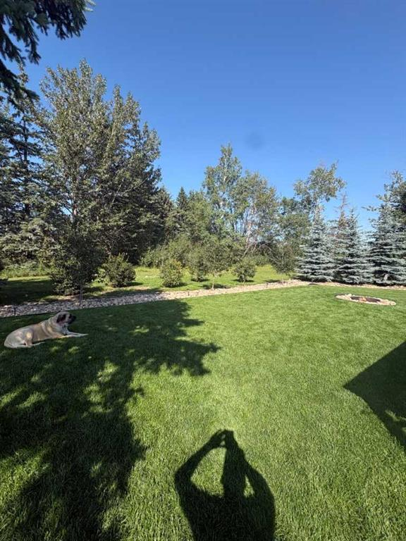 131-41310 Range Road 282, Rural Lacombe County, Alberta, T0C 0J0 (115235038)