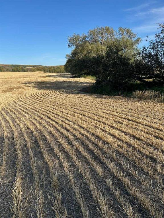 TWP Road 374, Rural Red Deer County, Alberta, T4E 1B3 (115664611)