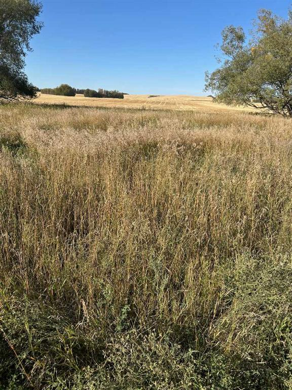 TWP Road 374, Rural Red Deer County, Alberta, T4E 1B3 (115664611)