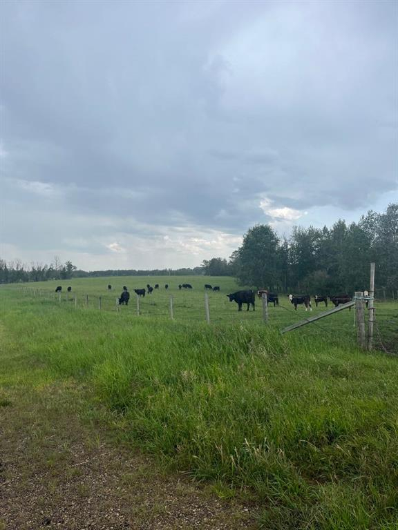 70 Acres SE of Innisfial, Rural Red Deer County, Alberta, T4S 0M6 (84232199)