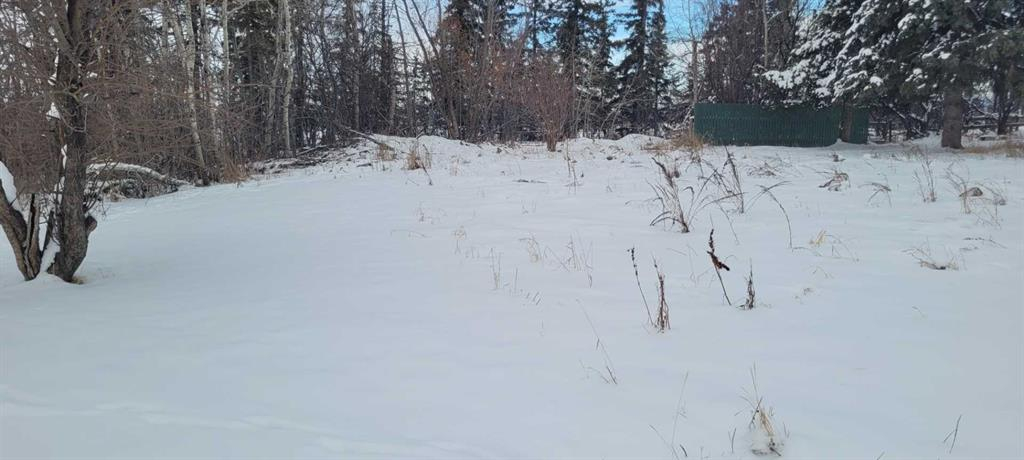 38449 Highway 20, Sylvan Lake, Alberta, T4S1Z7 (87772025)
