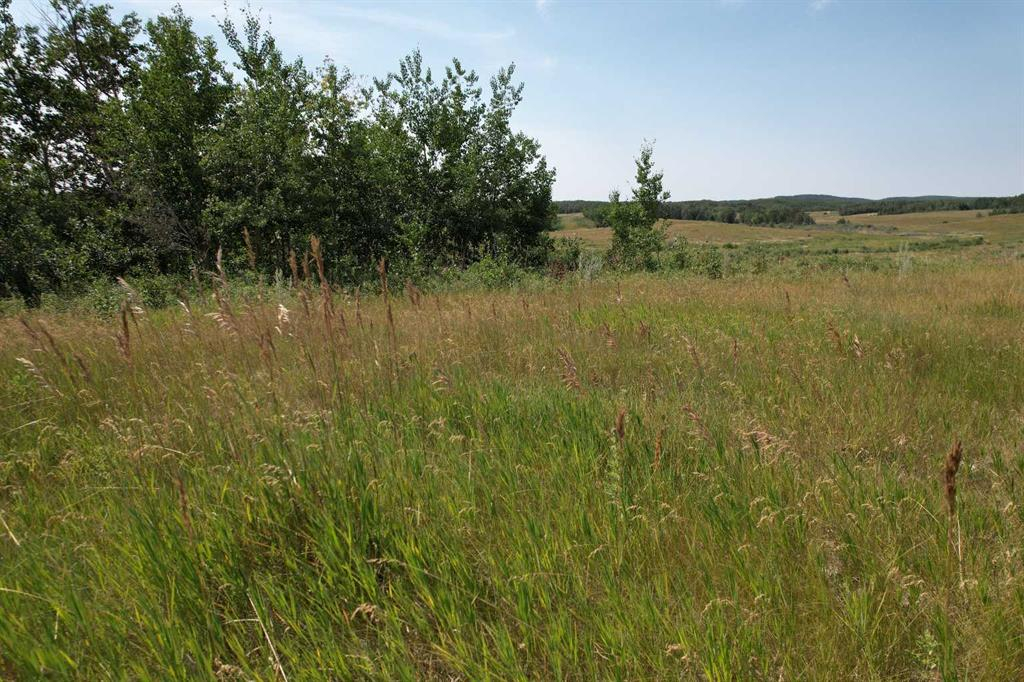 On Hwy 816, Rural Red Deer County, Alberta, T4E 0V5 (93658137)